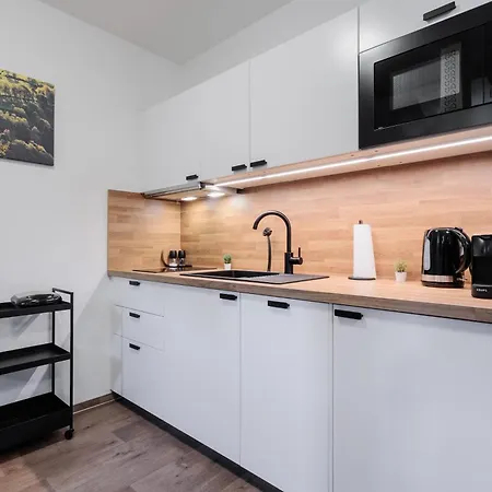 Stribrna Liska Appart hôtel Jáchymov