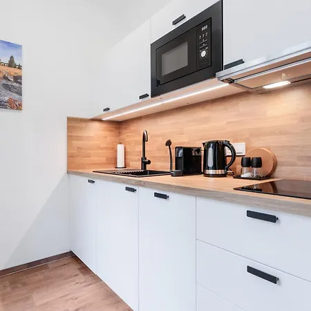 Stribrna Liska Lejlighedshotel Jáchymov